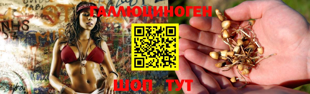 Галлюциногенные грибы Psilocybe Нефтеюганск